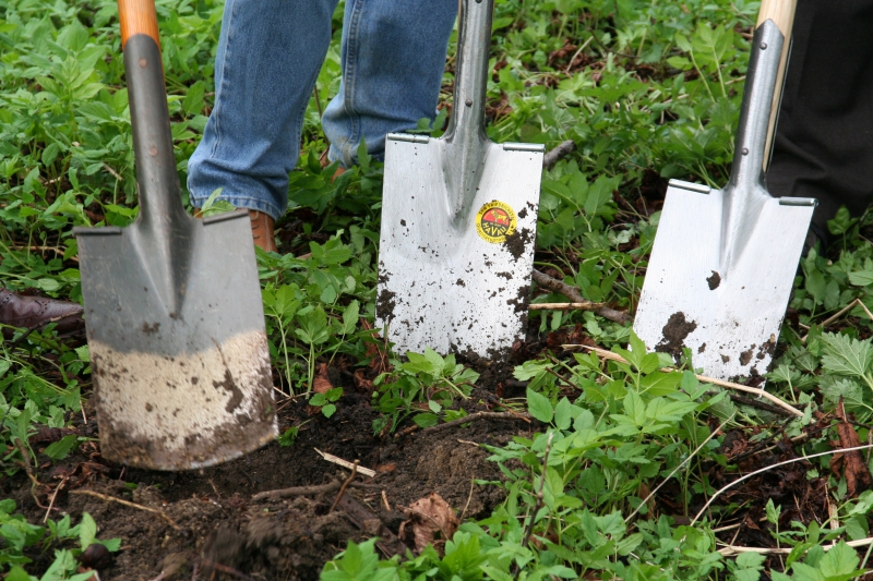 pepiniere-TOURNEFORT-min_work-lawn-flower-tool-green-backyard-1103633-pxhere.com